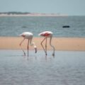Mozambique Sets Its Sights on UK Travellers as Tourism Grows Ahead of 2027